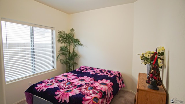 bedroom with multiple windows and carpet floors