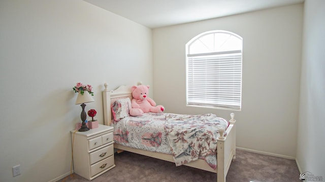 bedroom with baseboards and carpet floors