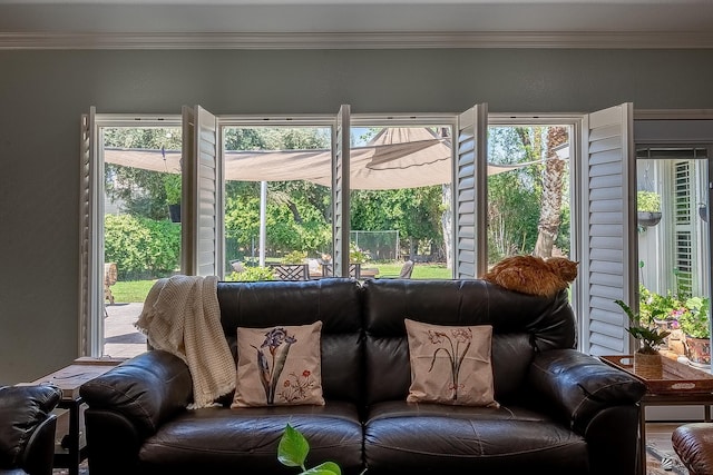 living area with crown molding