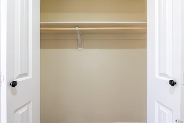 view of closet
