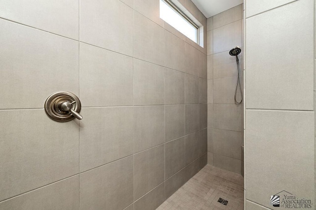 12160 S Drucilla Ln, Yuma, AZ 85367 - full bath with a tile shower