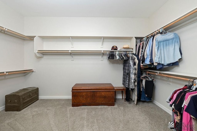 12160 S Drucilla Ln, Yuma, AZ 85367 - spacious closet with carpet