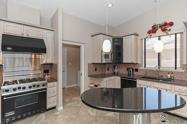 5492 E View Pkwy, Yuma, AZ 85365 - kitchen with under cabinet range hood, a sink, stainless steel microwave, luxury stove, and dishwasher