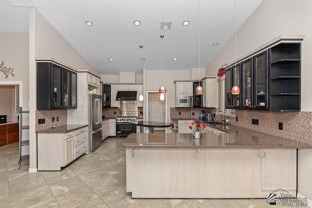 5492 E View Pkwy, Yuma, AZ 85365 - kitchen with high end appliances, under cabinet range hood, a sink, backsplash, and vaulted ceiling