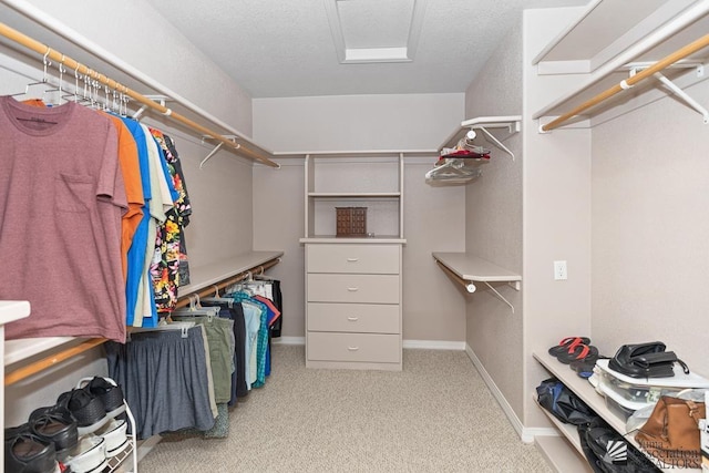 5492 E View Pkwy, Yuma, AZ 85365 - walk in closet with attic access and carpet flooring