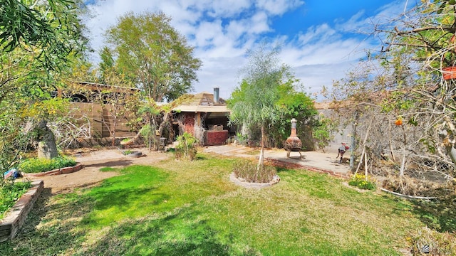 view of yard with a patio and a fenced backyard