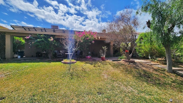 view of yard featuring a patio area