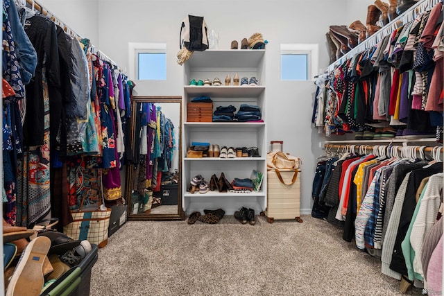 5922 E 47th St, Yuma, AZ 85365 - walk in closet with carpet