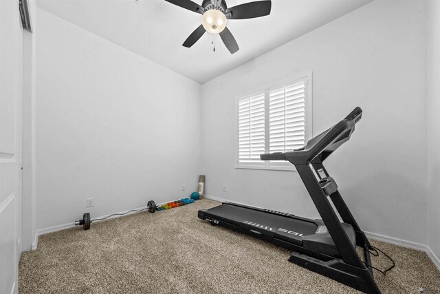 5922 E 47th St, Yuma, AZ 85365 - workout room with carpet and a ceiling fan
