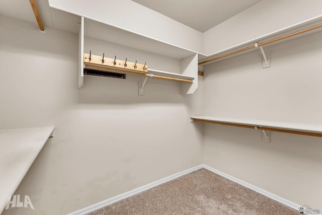 walk in closet with carpet floors