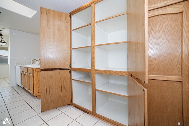 pantry with a sink