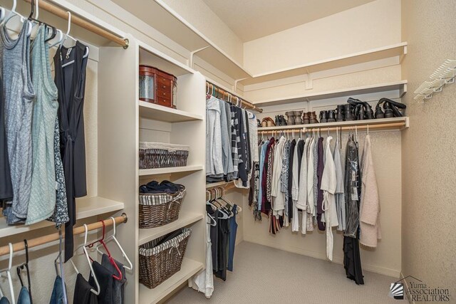 12147 E 33rd St, Yuma, AZ 85367 - spacious closet with carpet