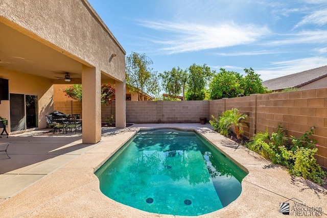 12147 E 33rd St, Yuma, AZ 85367 - view of swimming pool featuring a fenced in pool, a fenced backyard, a ceiling fan, and a patio area