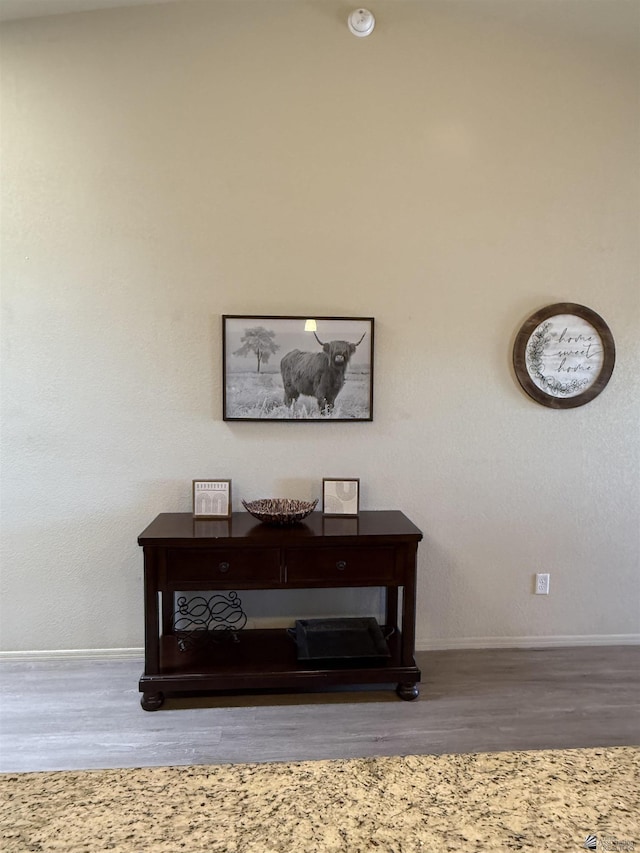 interior details featuring baseboards and wood finished floors