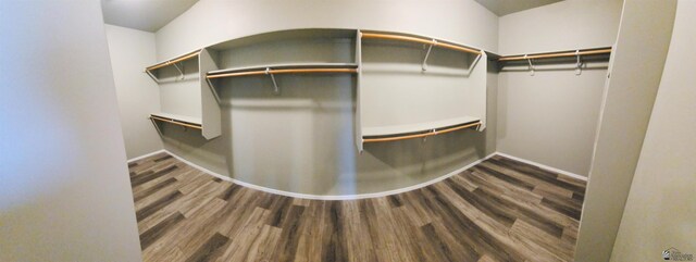 walk in closet featuring wood finished floors