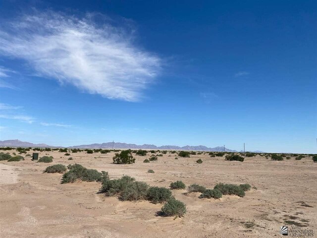 0000 Citrus Cir Unit Apn 685-44-117, Tacna, AZ 85352 - photo 9