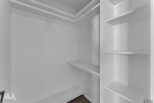 spacious closet with carpet floors and built in study area