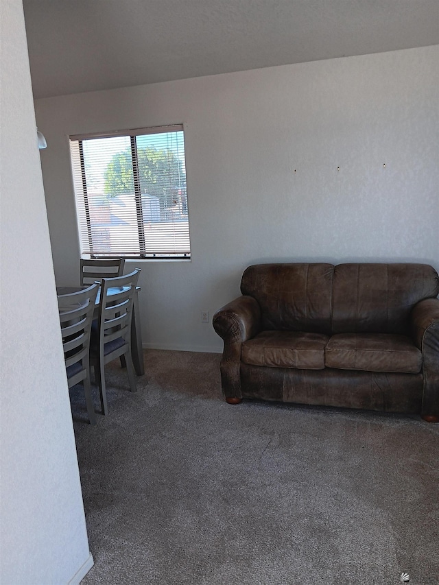 13835 E 51st Ln, Yuma, AZ 85367 - photo 9