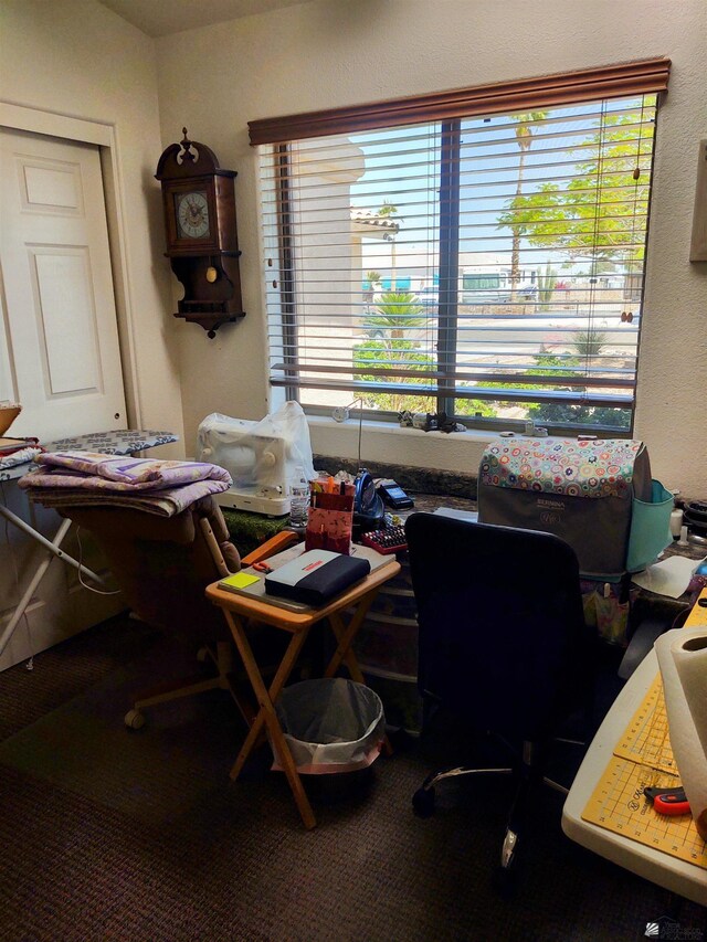 13375 E 52nd St, Yuma, AZ 85367 - office space with plenty of natural light and carpet floors