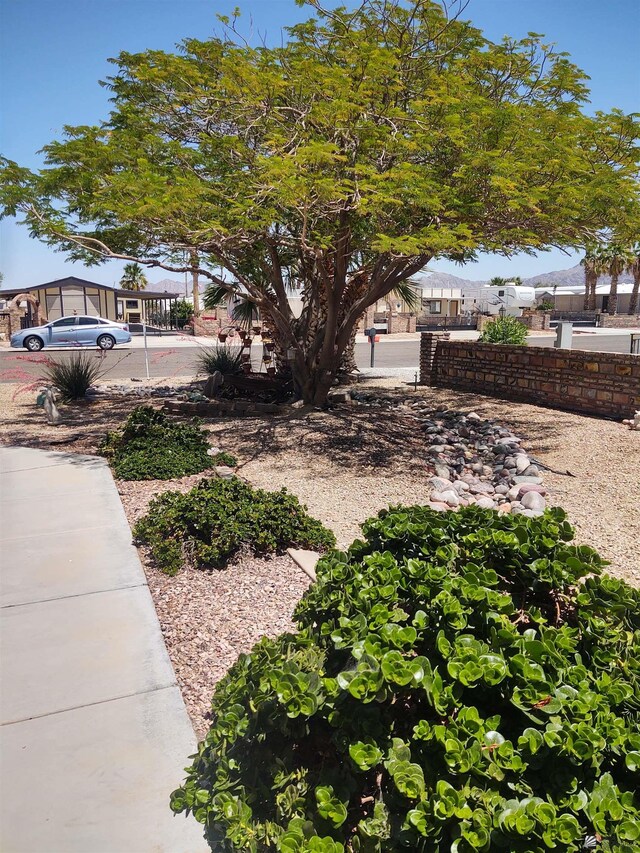 13375 E 52nd St, Yuma, AZ 85367 - view of yard