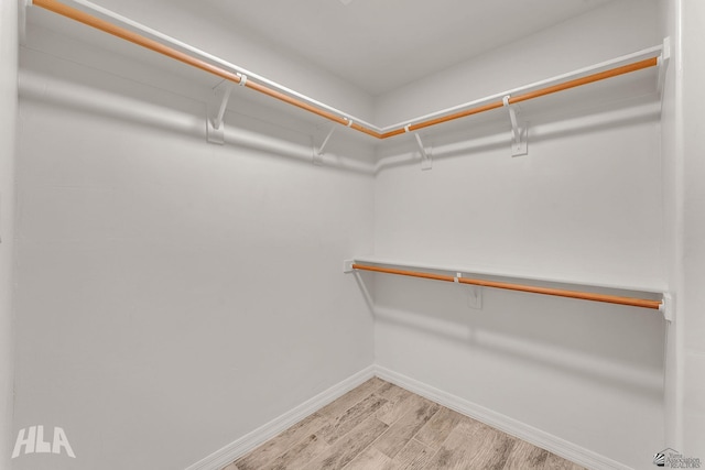 spacious closet with light wood-type flooring