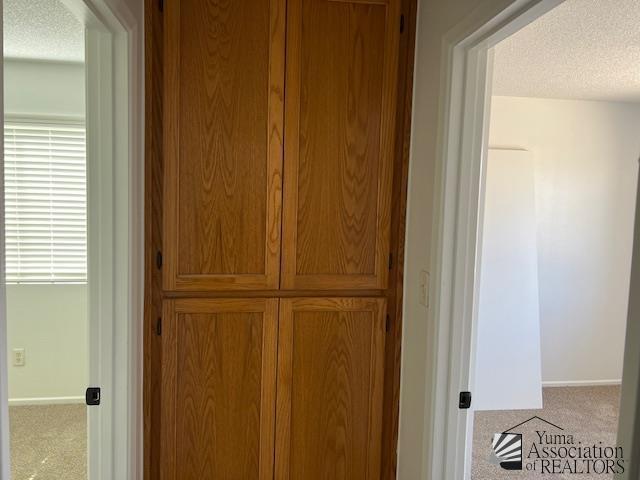 hallway with carpet flooring and a textured ceiling