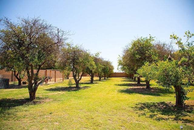 12815 S Greenview Way Greenview Way, Yuma, AZ 85365 - view of yard
