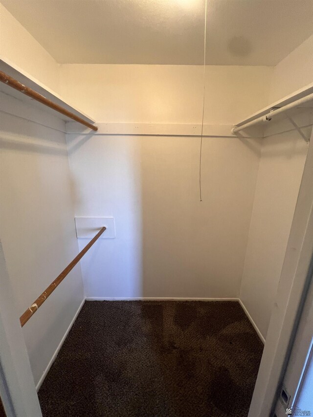 2801 S 1st Ave, Yuma, AZ 85364 - walk in closet with carpet