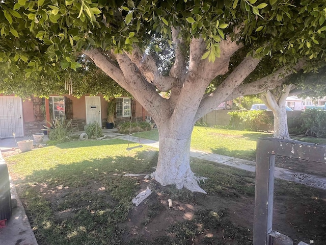 1911 S 11th Ave, Yuma, AZ 85364 - view of yard