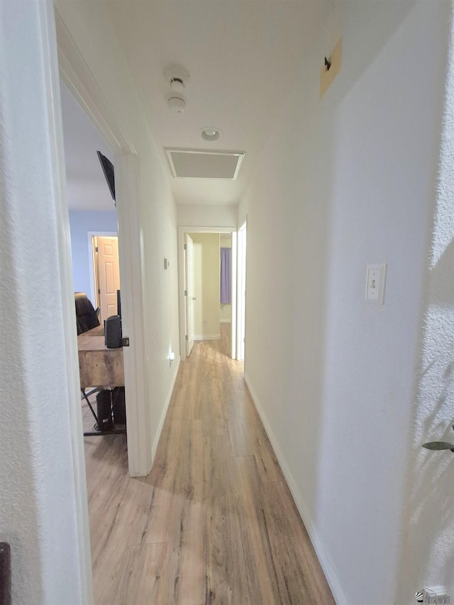10178 S Cony Ave, Yuma, AZ 85367 - corridor featuring light wood-type flooring, attic access, and baseboards