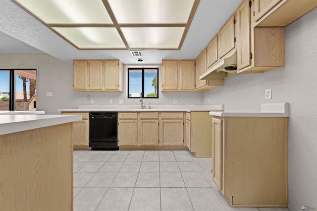11212 E 37th Ln, Yuma, AZ 85367 - kitchen with dishwasher, a sink, light brown cabinets, and light tile patterned flooring