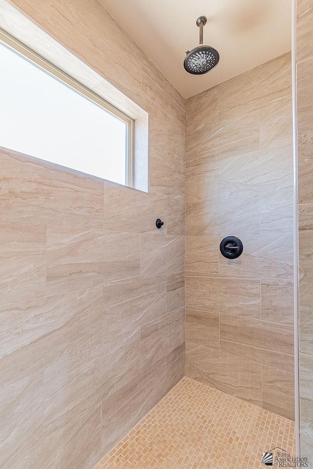 10237 S Monsoon Ave, Yuma, AZ 85365 - full bathroom featuring a tile shower