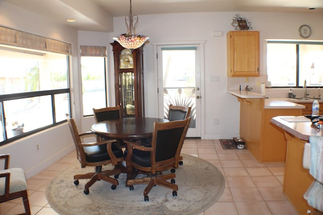 11891 S El Camino Del Diablo, Yuma, AZ 85367 - photo 6