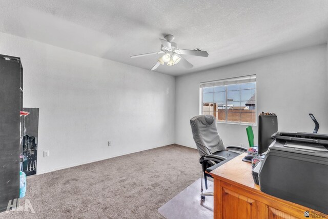 1140 E America St, San Luis, AZ 85349 - photo 29