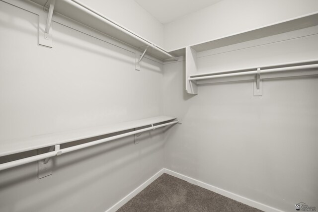3562 S Sage Ave, Yuma, AZ 85365 - walk in closet with dark carpet