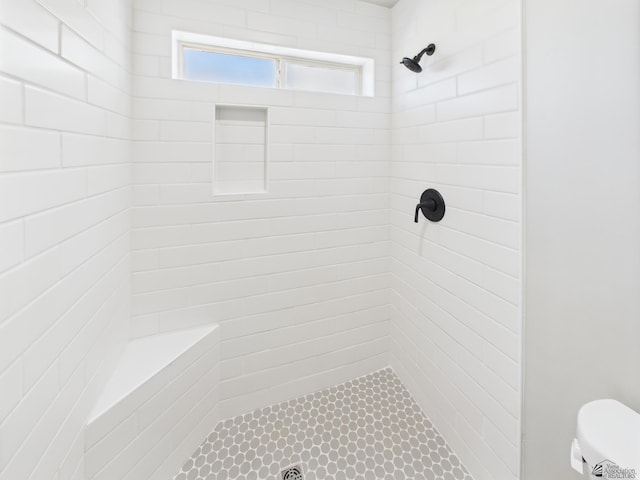 12116 E Calle Del Cid Unit B, Yuma, AZ 85367 - bathroom with tiled shower and toilet