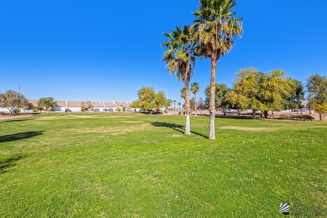 view of home's community featuring a yard