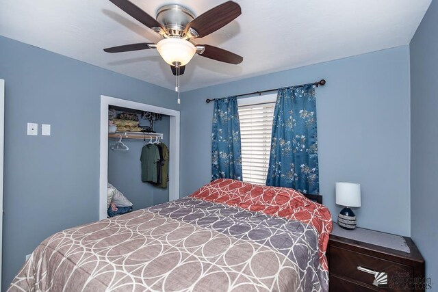 4443 S Jasmine Ave, Yuma, AZ 85365 - photo 13