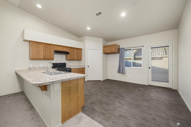 kitchen featuring lofted ceiling, sink, dark colored carpet, black electric range, and kitchen peninsula