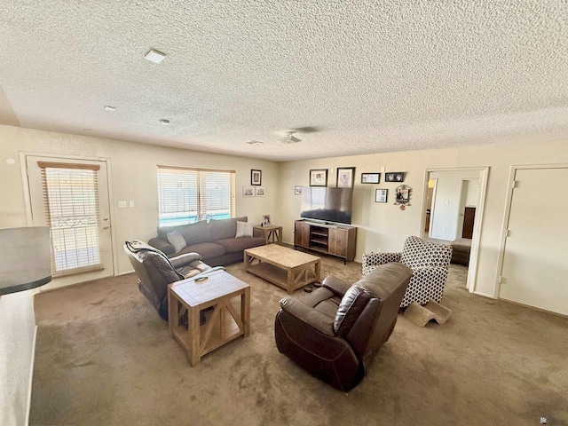 6347 E 44th Pl, Yuma, AZ 85365 - carpeted living area featuring a textured ceiling