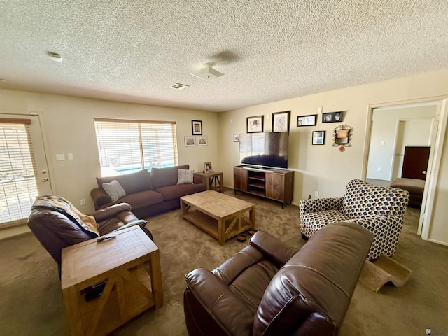 6347 E 44th Pl, Yuma, AZ 85365 - living area with carpet flooring and a textured ceiling