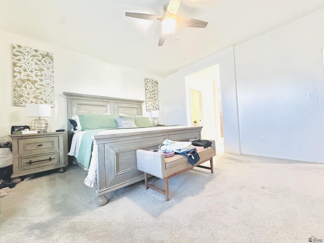 4579 S Max Ave, Yuma, AZ 85365 - photo 19