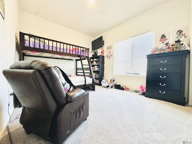 bedroom with carpet flooring