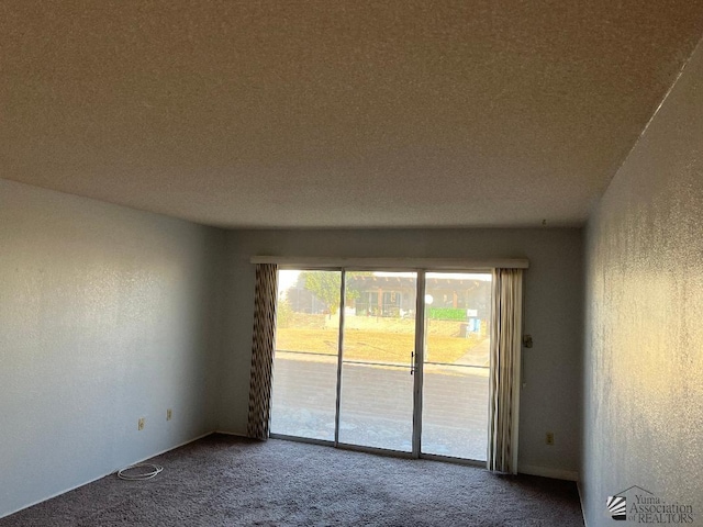 empty room with plenty of natural light, a textured ceiling, and carpet