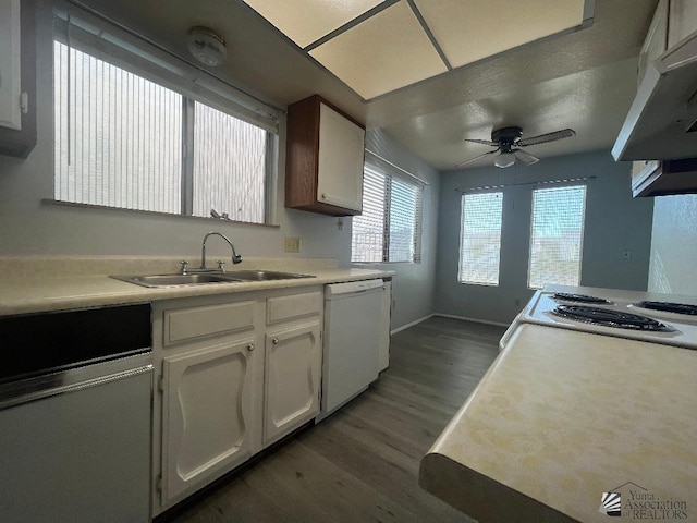 kitchen featuring sink, white cabinetry, dark hardwood / wood-style floors, white dishwasher, and ceiling fan