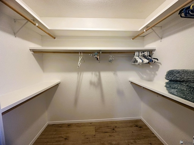 spacious closet featuring wood finished floors