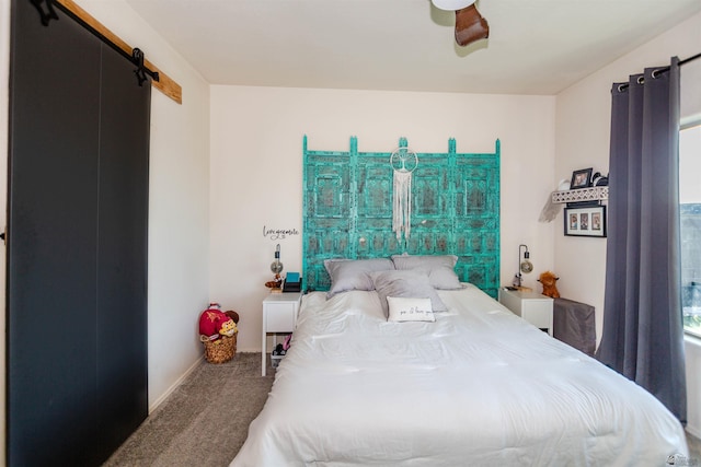 5712 E 45th Pl, Yuma, AZ 85365 - bedroom with carpet and a barn door