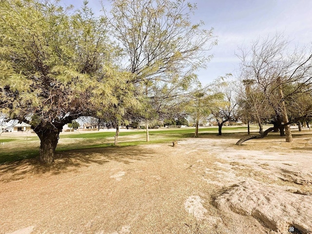 11721 S Muggins St, Wellton, AZ 85356 - photo 5