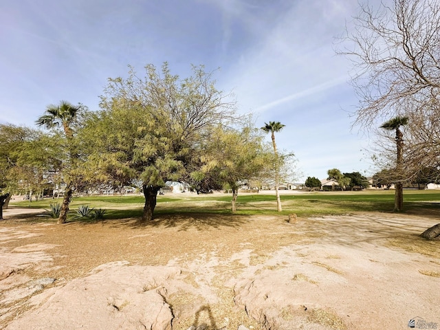 11721 S Muggins St, Wellton, AZ 85356 - photo 6
