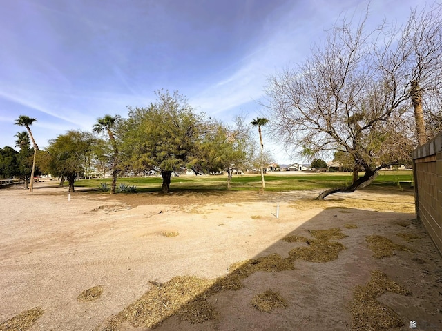 11721 S Muggins St, Wellton, AZ 85356 - photo 8